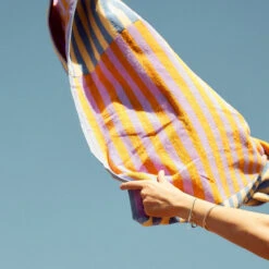 Baggu | Cotton Bath Towel - Hotel Stripes -Home Product Store Earl of East Baggu Beach Towel 3