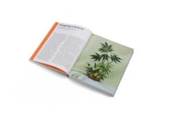 Gestalten | High On Design -Home Product Store HighOnDesign inside01 2000x b6b0b1d6 8922 46cd ba36 afb472bc9a06