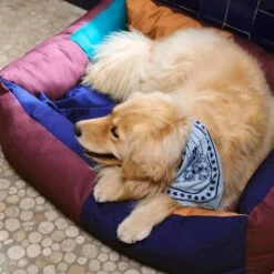 HAY | Dogs Scarf - Light Blue -Home Product Store R04271221 LIGHTBLUE ALT05