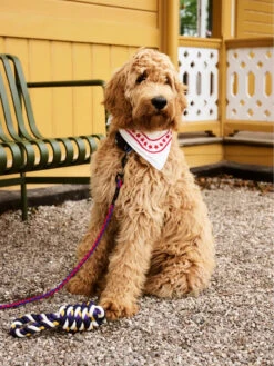 HAY | Dogs Scarf - Off White -Home Product Store R04271221 OFFWHITE ALT02