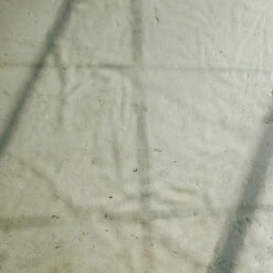 Earl Of East | Greenhouse - Soy Wax Candle - 260ml [9.1oz] -Home Product Store earl of east greenhouse natural soy wax candle 260 2