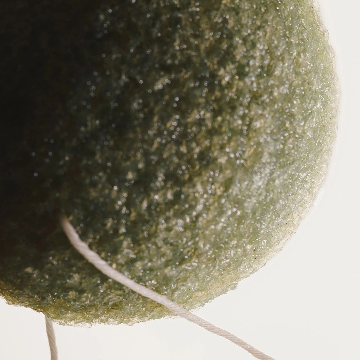 Guy Morgan | Matcha Tea Konjac Sponge 5 Guy Morgan | Matcha Tea Konjac Sponge - Image 3