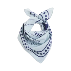 HAY | Dogs Scarf - Light Blue