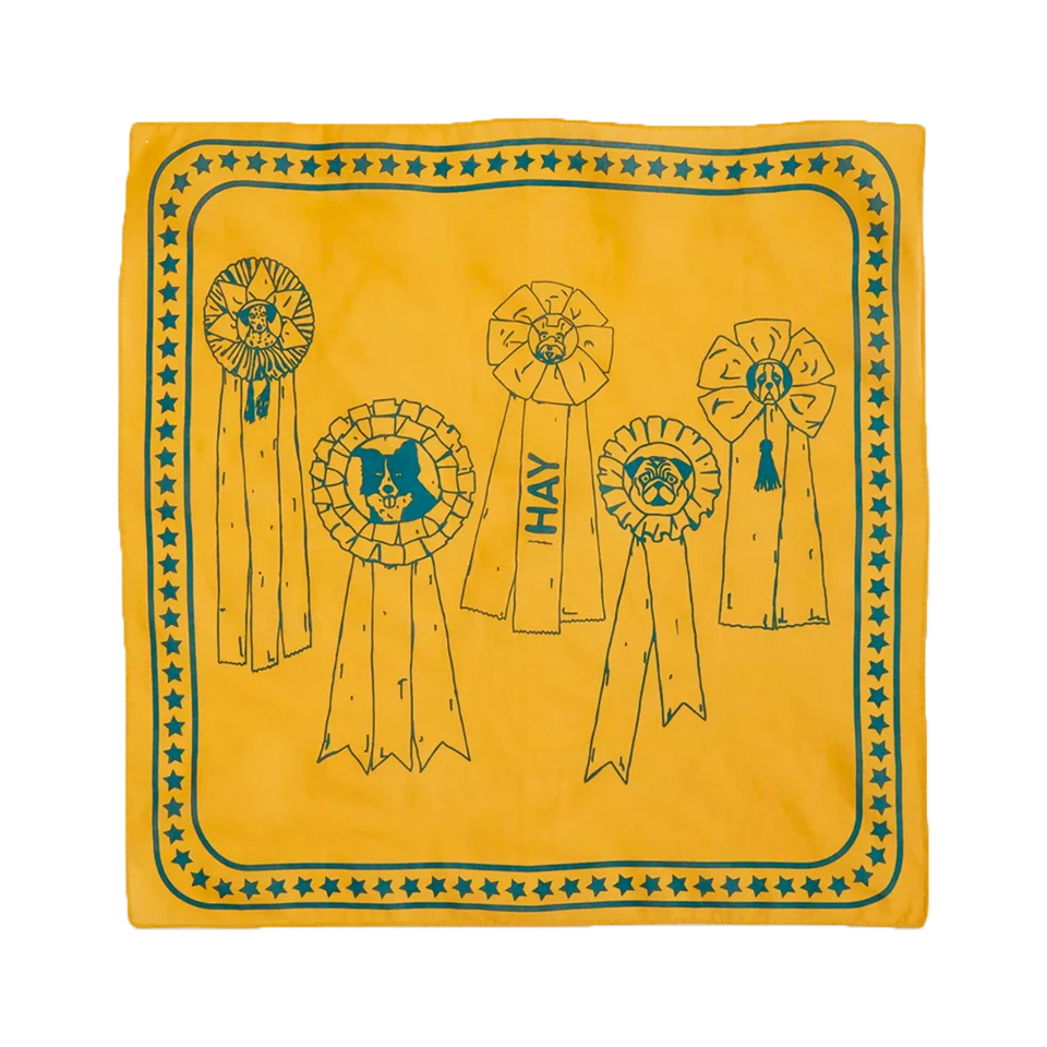 HAY | Dogs Scarf - Ochre Yellow 4 HAY | Dogs Scarf - Ochre Yellow - Image 2