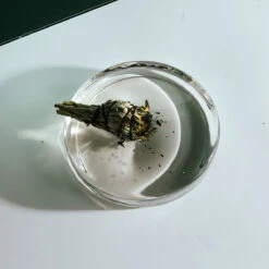 Earl Of East | Sage Bundle -Home Product Store sage bundle 1